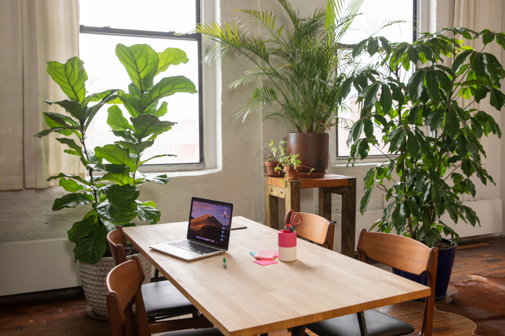 Implementing Audio Branding in Business Resolutions - Floral shop desk with open computer and pen and notebook